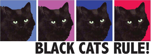 Smoky - Black Cats RULE!